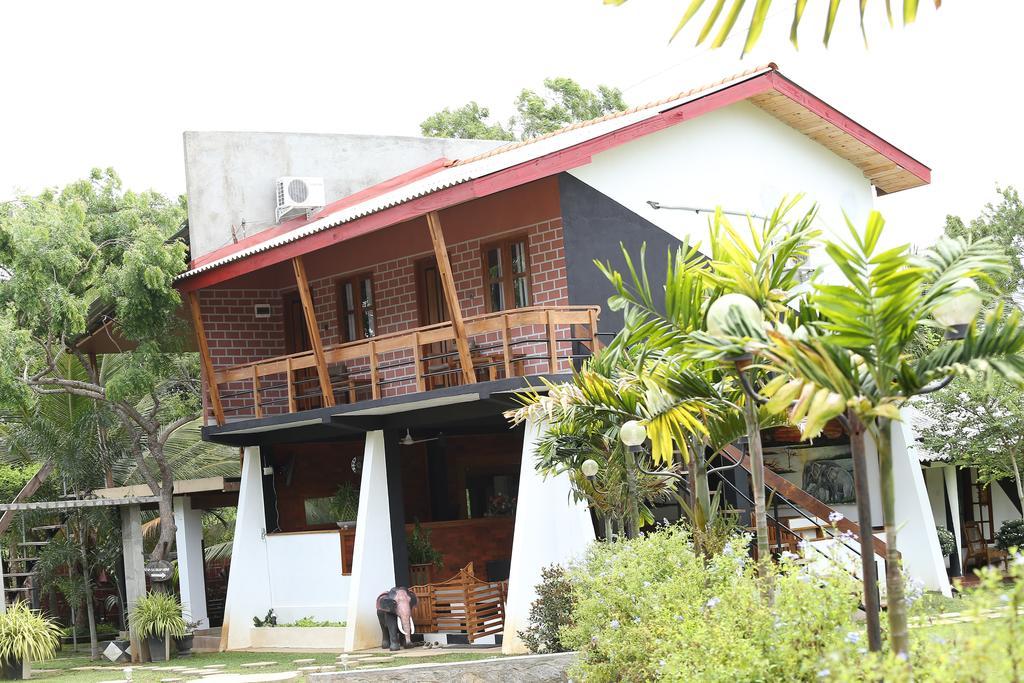 מיהינטלה Eco Hotel Black & White - Anuradhapura מראה חיצוני תמונה