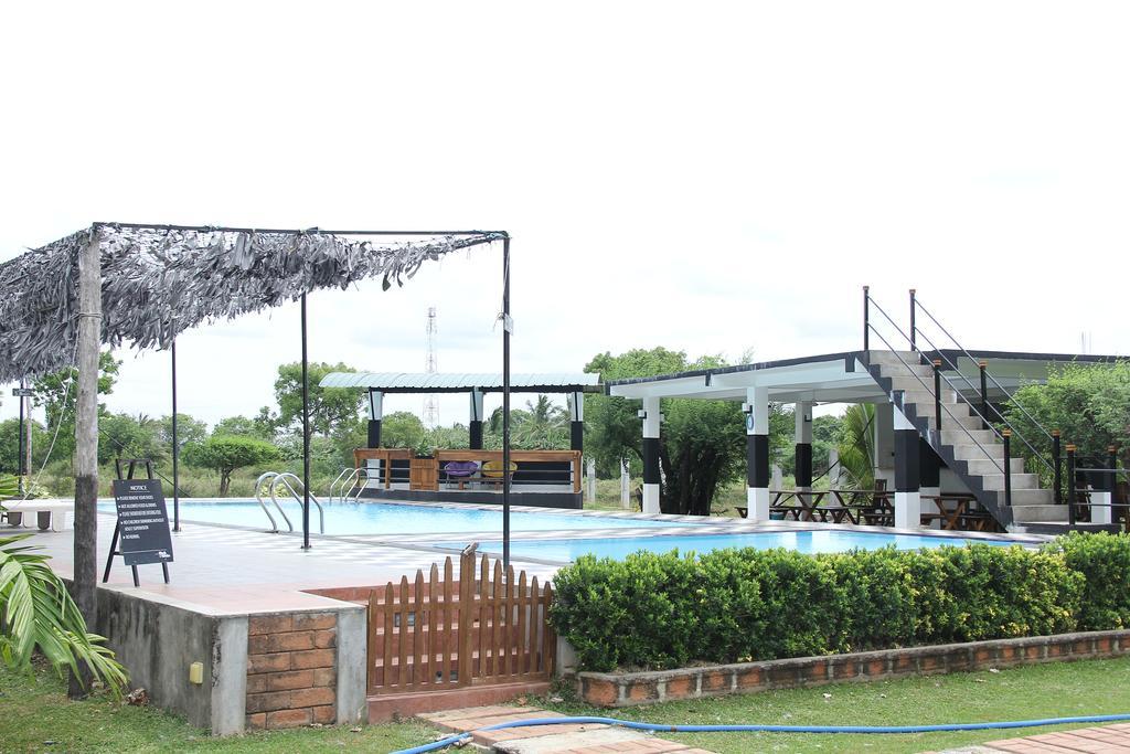 מיהינטלה Eco Hotel Black & White - Anuradhapura מראה חיצוני תמונה