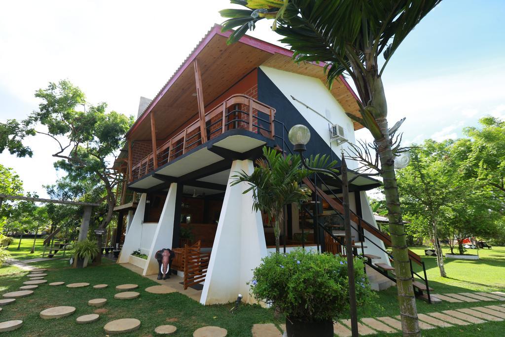 מיהינטלה Eco Hotel Black & White - Anuradhapura מראה חיצוני תמונה