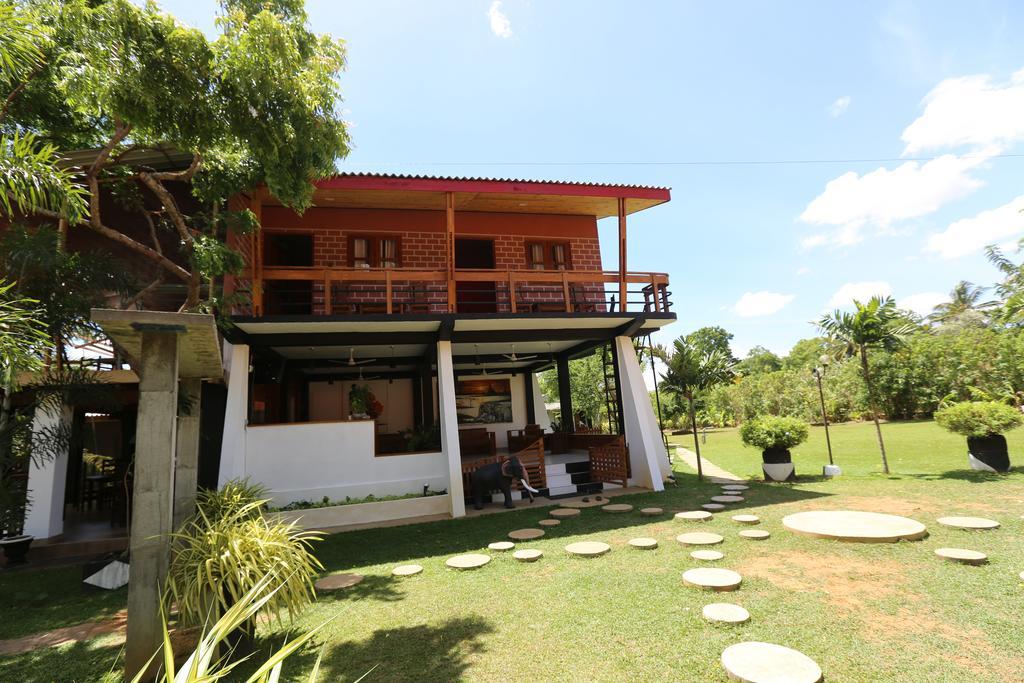 מיהינטלה Eco Hotel Black & White - Anuradhapura מראה חיצוני תמונה