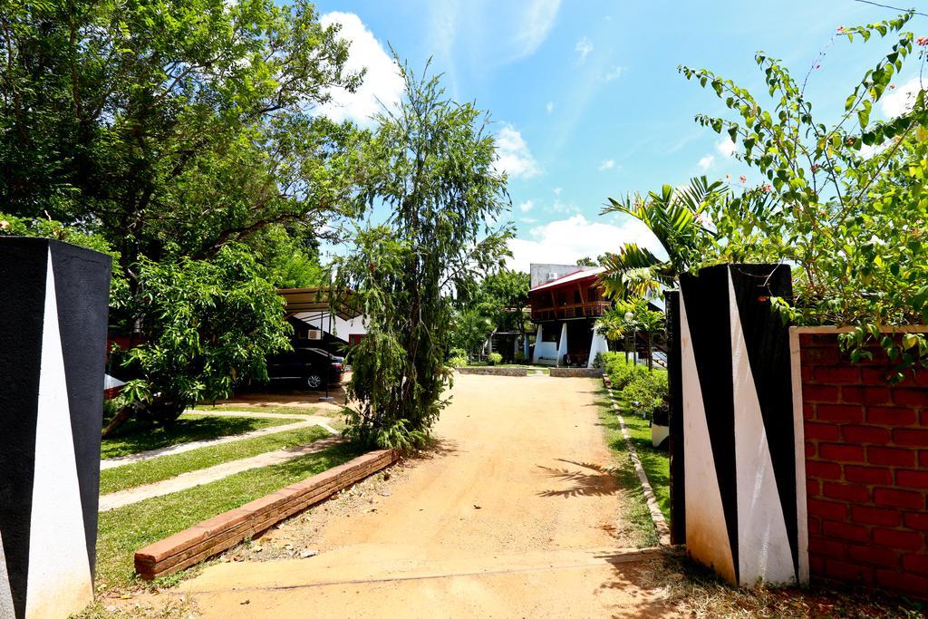 מיהינטלה Eco Hotel Black & White - Anuradhapura מראה חיצוני תמונה